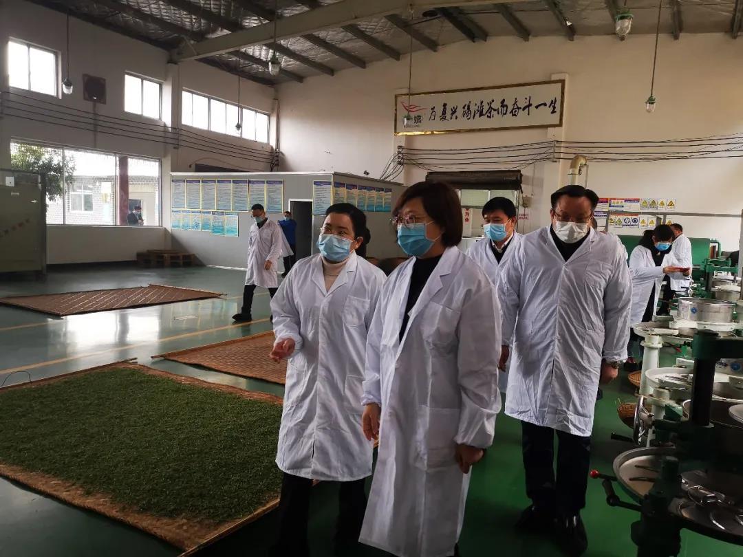 湖南省沅陵碣灘茶業有限公司,沅陵碣灘茶,茶葉加工銷售,茶文化傳播